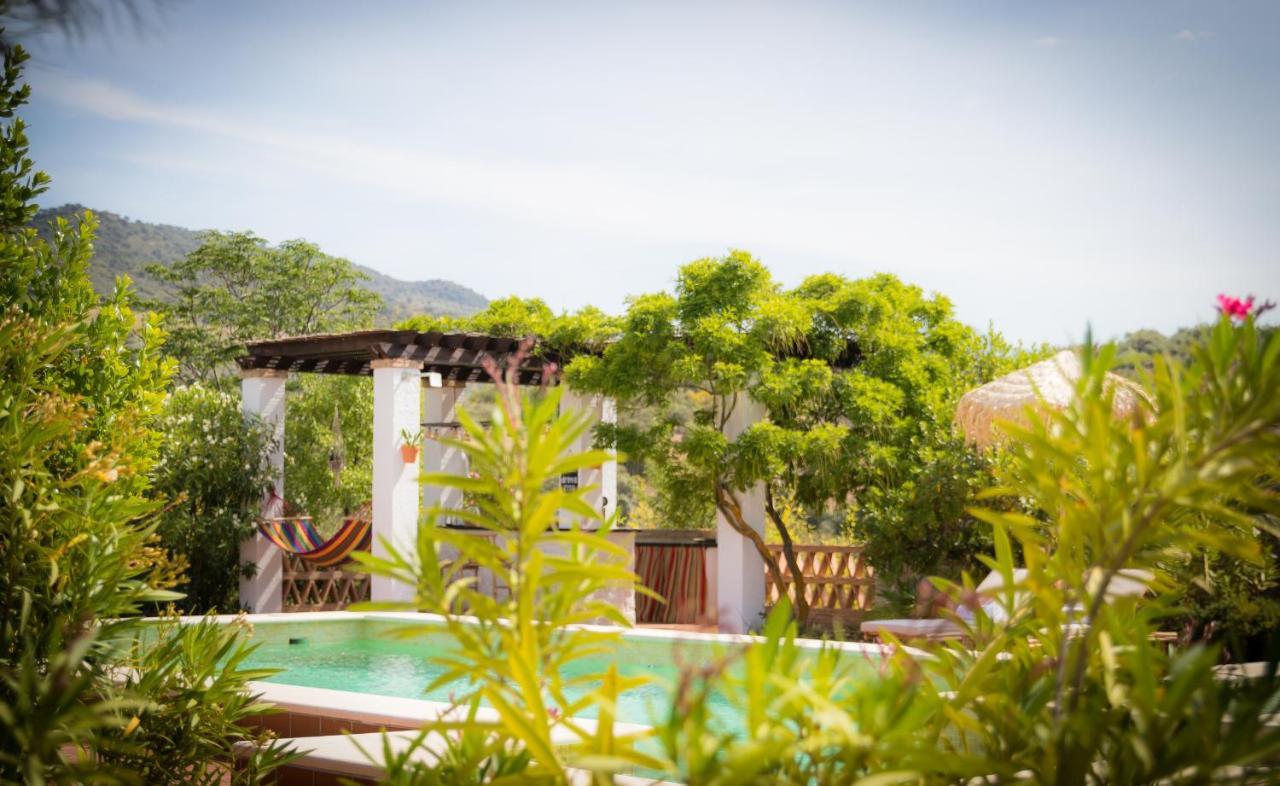 Hacienda El Tarajal Otel Priego de Córdoba Dış mekan fotoğraf
