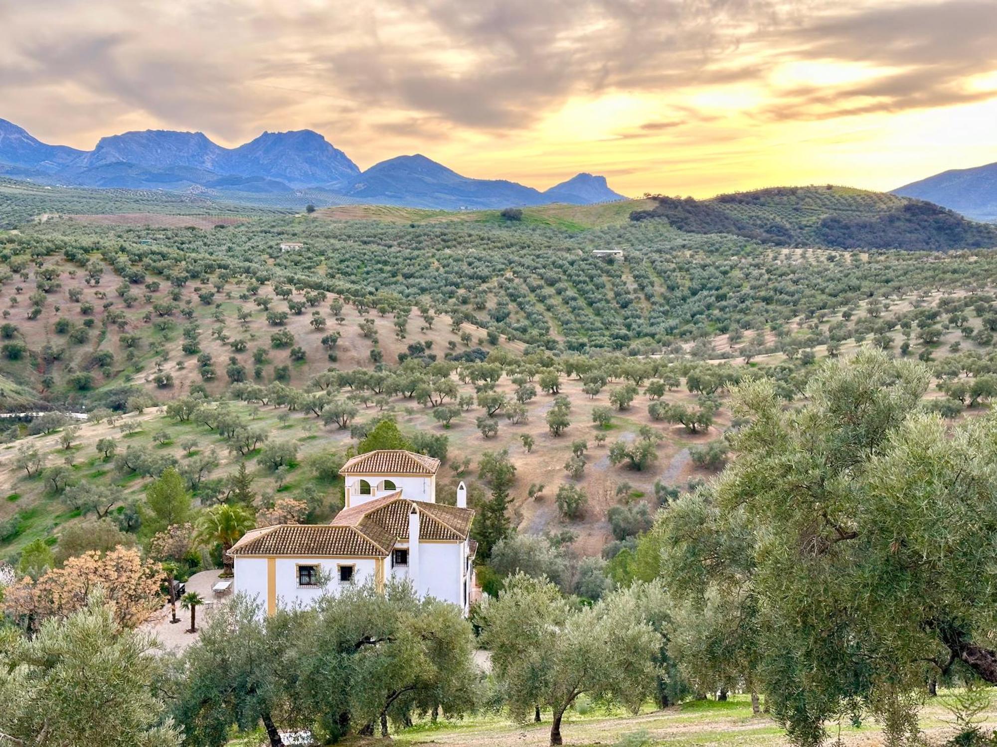 Hacienda El Tarajal Otel Priego de Córdoba Dış mekan fotoğraf