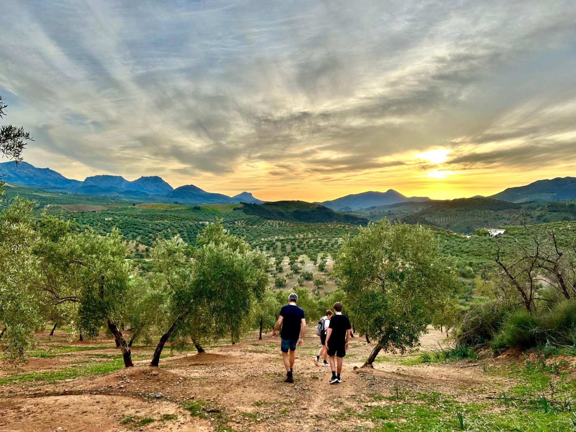 Hacienda El Tarajal Otel Priego de Córdoba Dış mekan fotoğraf