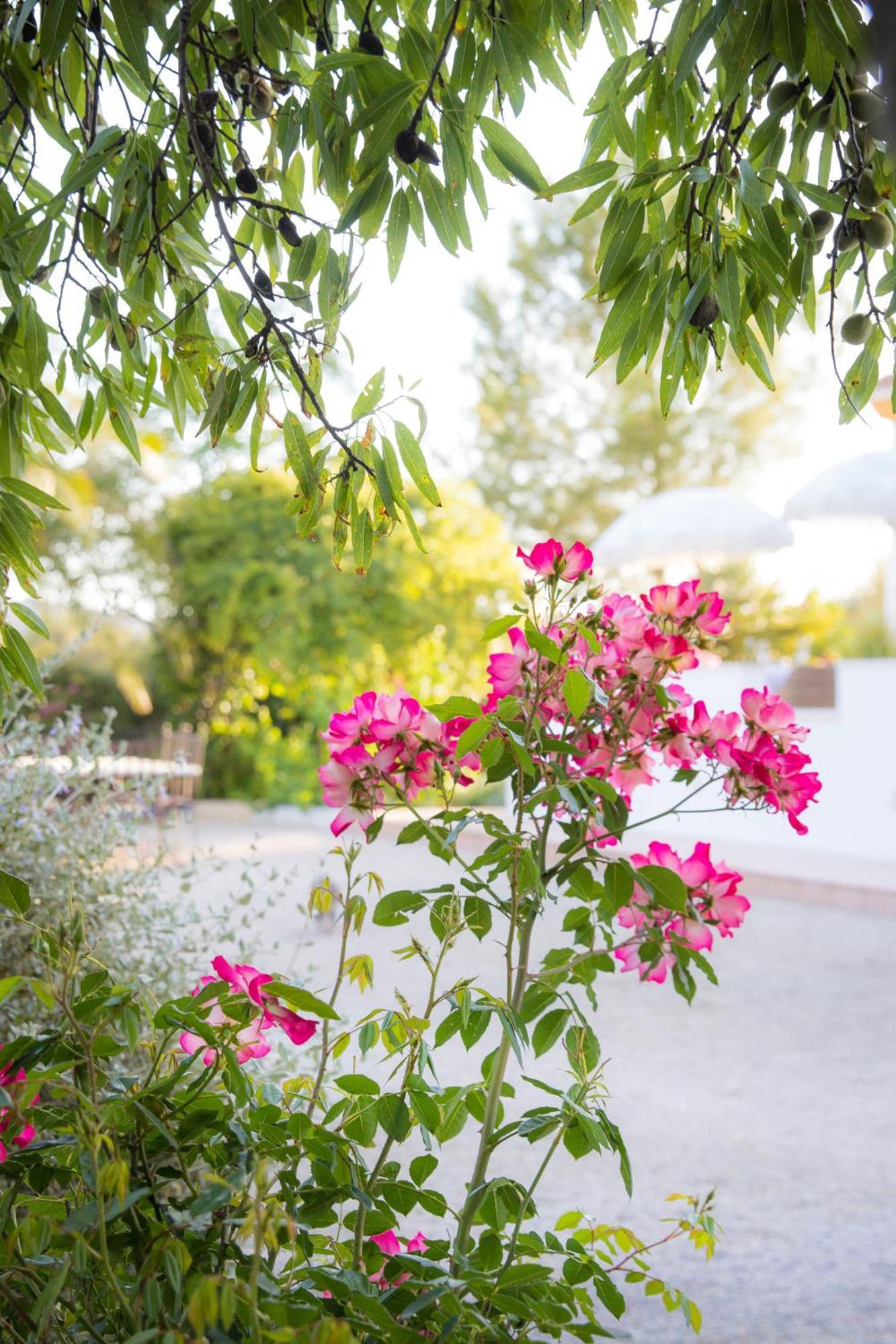 Hacienda El Tarajal Otel Priego de Córdoba Dış mekan fotoğraf