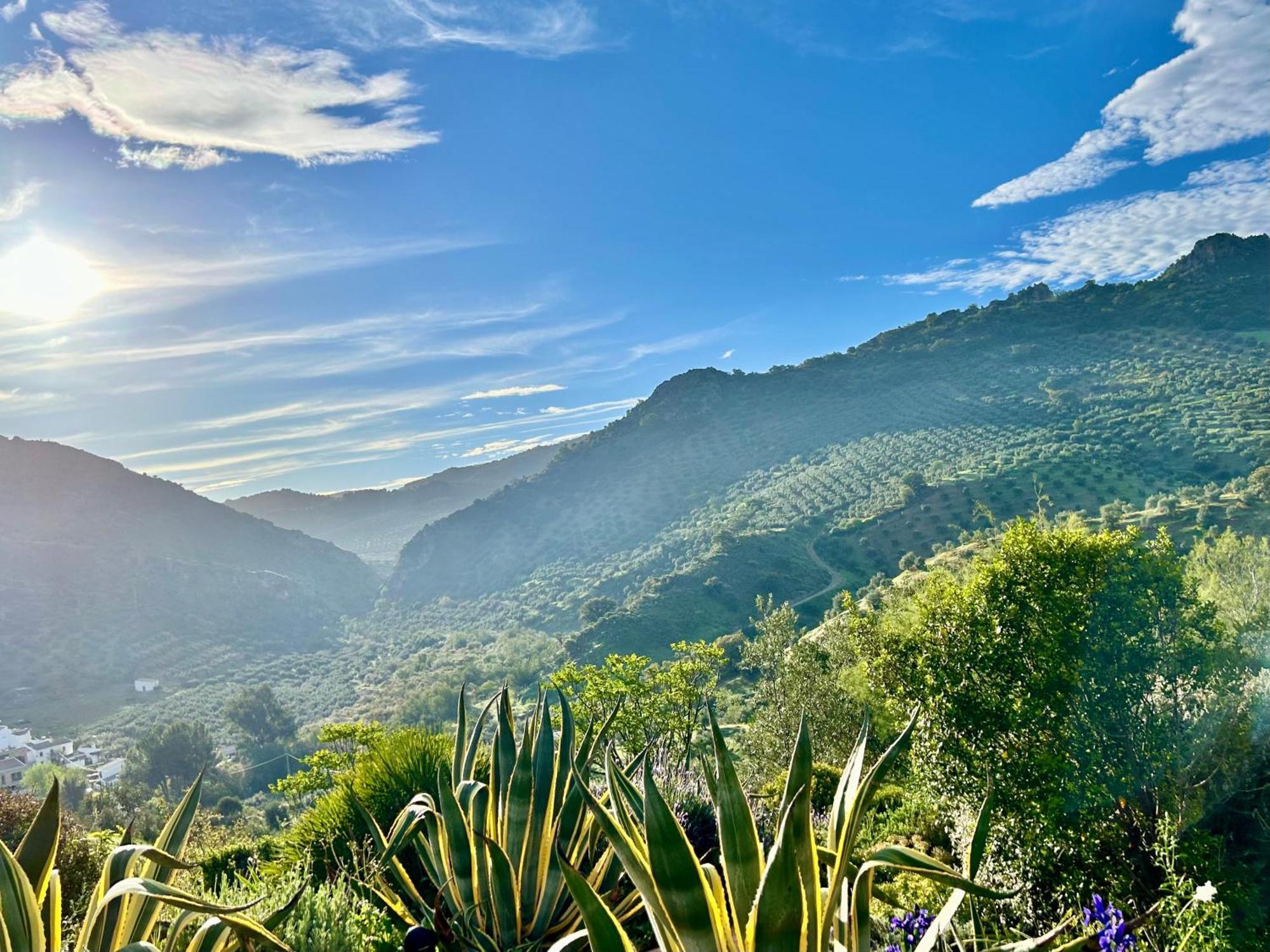Hacienda El Tarajal Otel Priego de Córdoba Dış mekan fotoğraf